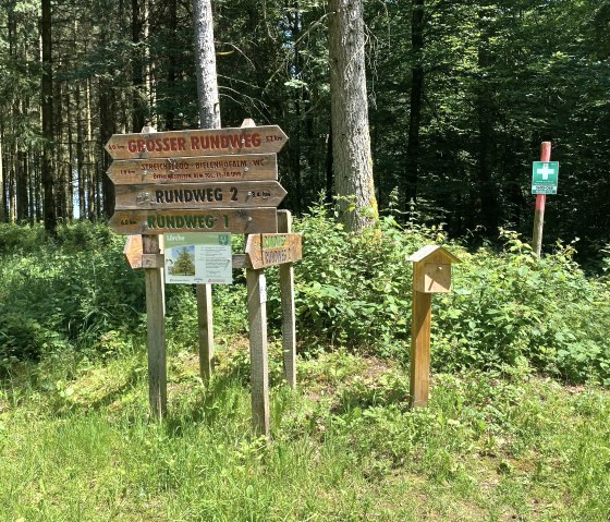 Wegweiser im Wald zeigt verschiedene Rundwege an. Eine kleine Stempelstation steht daneben. Ein Erste-Hilfe-Schild ist im Hintergrund sichtbar., © Touristik GmbH Gerolsteiner Land, Leonie Post