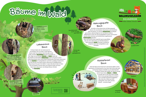 Großes Informationsschild zu "Bäume im Wald" mit Informationen zu Lebensraum Baum, Nahrungsquelle Baum und Holzlieferant Baum.