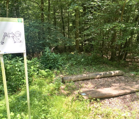 Eine Fitnessstation im Wald mit einer Übungstafel und Holzbalken auf dem Boden, umgeben von Bäumen und Grün., © Touristik GmbH Gerolsteiner Land, Leonie Post
