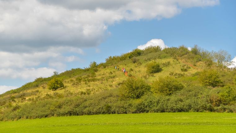 Un groupe de randonneurs sur une colline verdoyante sous un ciel bleu avec des nuages.