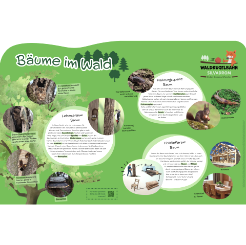 Gro&szlig;es Informationsschild zu "B&auml;ume im Wald" mit Informationen zu Lebensraum Baum, Nahrungsquelle Baum und Holzlieferant Baum.