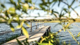 Jungferweiher Steg, © GesundLand Vulkaneifel /D. Ketz