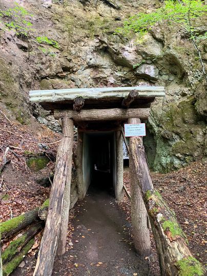 Entrance to a tunnel in the Arensberg volcanic quarry, surrounded by rocks and trees.