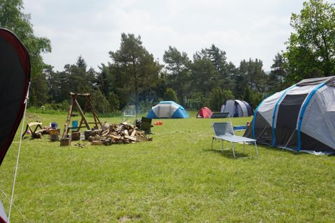 Zeltlager auf einer grünen Wiese mit mehreren Zelten, Campingstühlen und einem Holzstapel. Bäume im Hintergrund, sonniges Wetter.