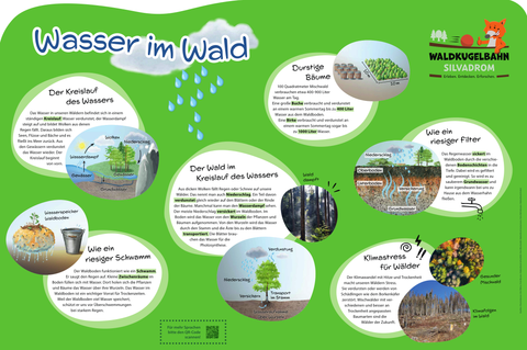 Informationsschild "Wasser im Wald" mit Infos zum Wasserkreislauf, Wasserfilterung, Klima und vieles mehr.