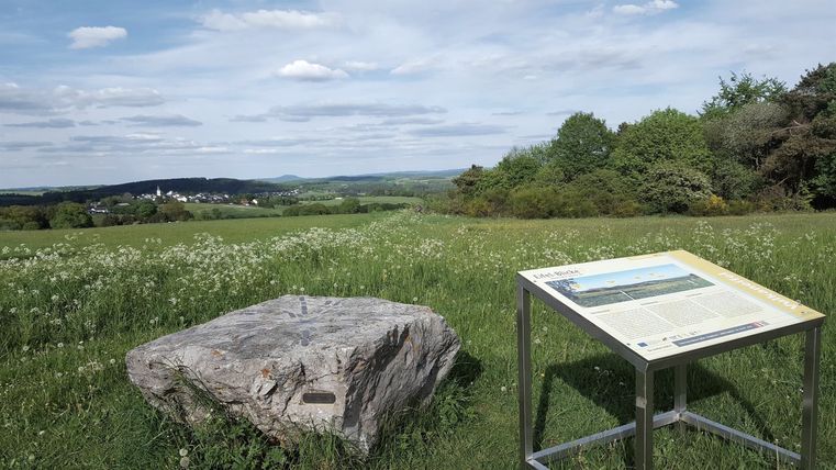 Panoramablick über eine grüne Wiese mit einem Felsen und einer Infotafel im Vordergrund, im Hintergrund ein Dorf und Hügel.