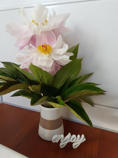 Ein schöner Blumenstrauß mit rosa und weißen Blumen in einer modernen Vase. Die grünen Blätter ergänzen das Arrangement perfekt.