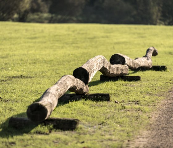 Ein geschwungener Holzstamm liegt auf einer grünen Wiese neben einem Weg im Bolsdorfer Tälchen, Hillesheim., © Eifel Tourismus GmbH, Dominik Ketz