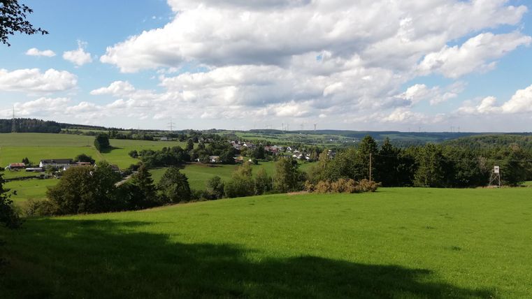 Grüne Wiesen und Bäume mit einem Dorf im Hintergrund unter einem blauen Himmel mit Wolken.