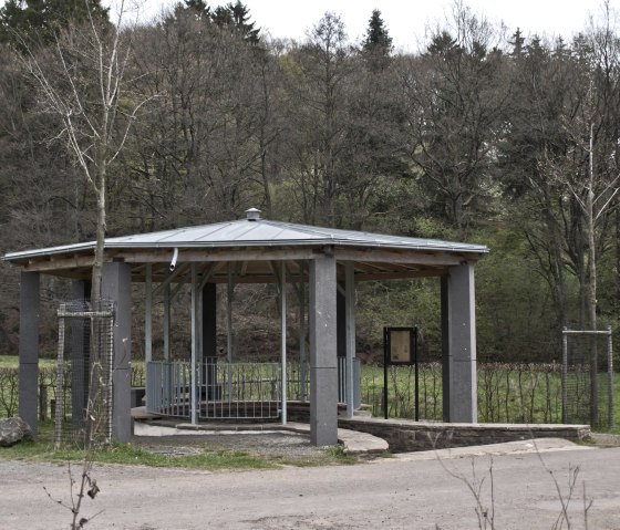 Duppacher Drees, © Natur- und Geopark Vulkaneifel GmbH