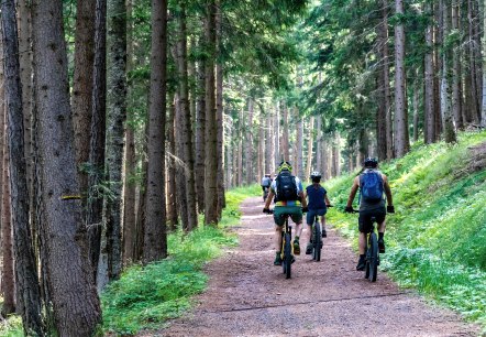 Mehrere sportlich gekleidete Radfahrer mit Helmen und Rucks&auml;cken ausgestattet fahren auf einem Schotterpfad durch einen Wald.