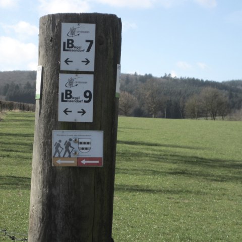 Signpost on a wooden post shows hiking trails in a green landscape with forest in the background., © Touristik GmbH Gerolsteiner Land, Ute Klinkhammer