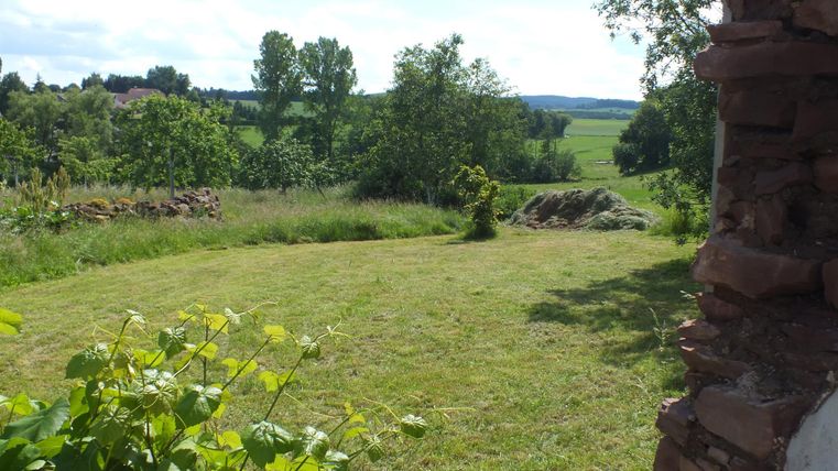 Een groene wei met bomen en een heldere blauwe lucht. Op de achtergrond zijn zachte heuvels en een rustige landschap te zien.