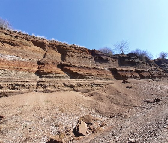 Rock layers at the Rockeskyller Kopf, showing different layers of earth in red and brown tones, under a clear blue sky., © Touristik GmbH Gerolsteiner Land, Ute Klinkhammer