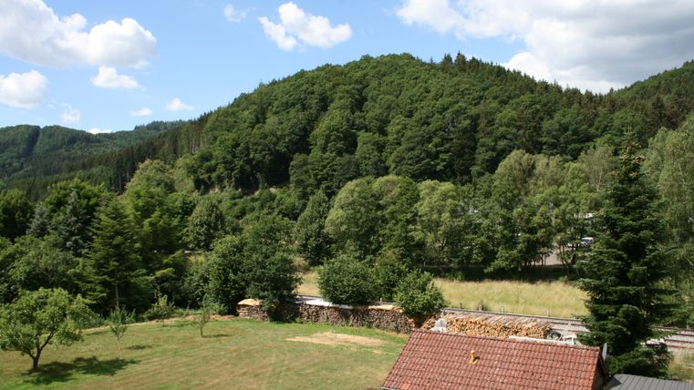 Eine grüne Landschaft mit einem bewaldeten Hügel und einem klaren Himmel. Im Vordergrund gibt es Wiesen und einige Bäume.