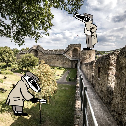 Die begehbare Hillesheimer Stadtnauer umrandet das Parkgelände vor der Mauer. Zwei Versionen eines Dachses in Detektivuniform untersucht das Gelände vor der Mauer und die Türme selbst.  