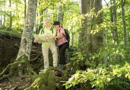 A man and a woman in hiking gear stand in a dense forest on hilly roots and study a hiking map.