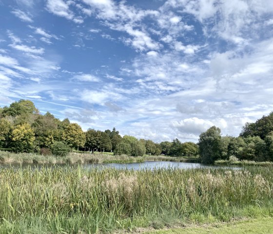 Idyllisch meer in de vallei van Bolsdorf met riet omringd door bomen onder een blauwe hemel met witte wolken., &copy; Touristik GmbH Gerolsteiner Land