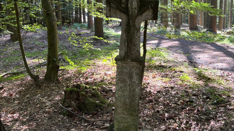An old stone cross stands in a forest, surrounded by trees and leaves on the ground.