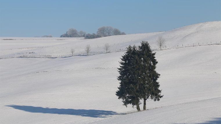 Eine verschneite Landschaft mit einem einzelnen Baum. Der Himmel ist klar und blau.