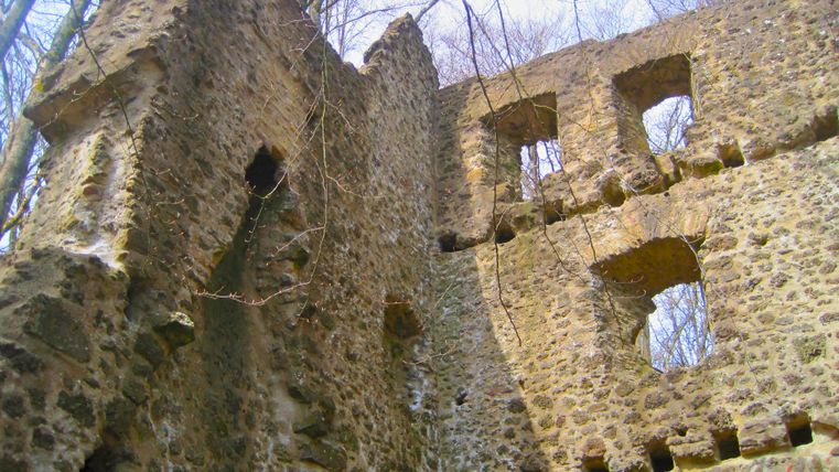 Ruïnemuur van de kasteelruïne Freudenkoppe met verschillende raamopeningen, omringd door kale bomen.