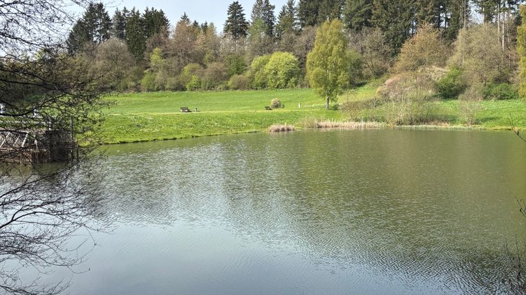 Ein ruhiger Stausee umgeben von grünen Wiesen und Bäumen unter einem klaren blauen Himmel.