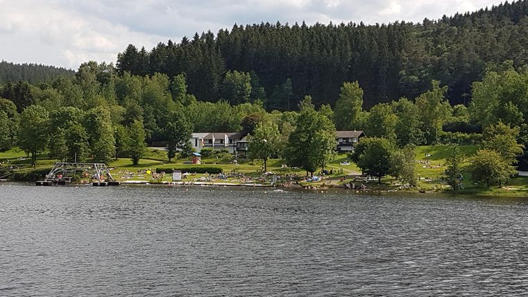 Ein ruhiger See umgeben von Bäumen und einer grünen Wiese. Im Hintergrund sind einige Gebäude zu sehen.