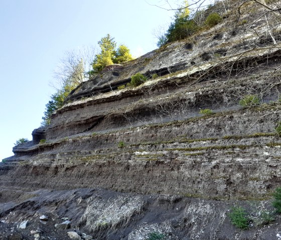 Rock layers on the Rockeskyller Kopf, covered with moss and small trees, under a clear sky., © Touristik GmbH Gerolsteiner Land, Ute Klinkhammer