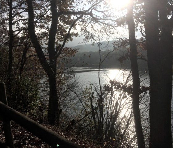 Sunlight falls through trees onto a glistening lake. Autumnal leaves and a wooden fence in the foreground., © Touristik GmbH Gerolsteiner Land