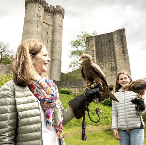 Greifvögel ganz nah, Adler- und Wolfspark, © Eifel Tourismus GmbH, Dominik Ketz