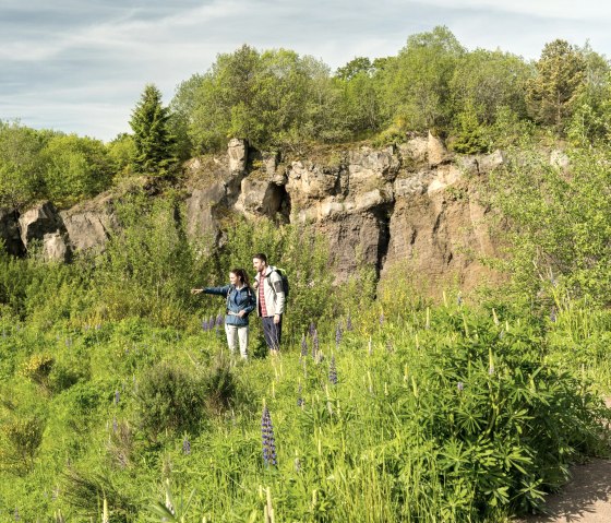 Vulkanpfad, Vulkangarten Steffeln, © Eifel Tourismus GmbH, Dominik Ketz
