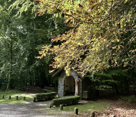 Een kleine kapel in het bos, omgeven door herfstbomen en bladeren op de grond. Zonlicht valt op het tafereel., &copy; Touristik GmbH Gerolsteiner Land