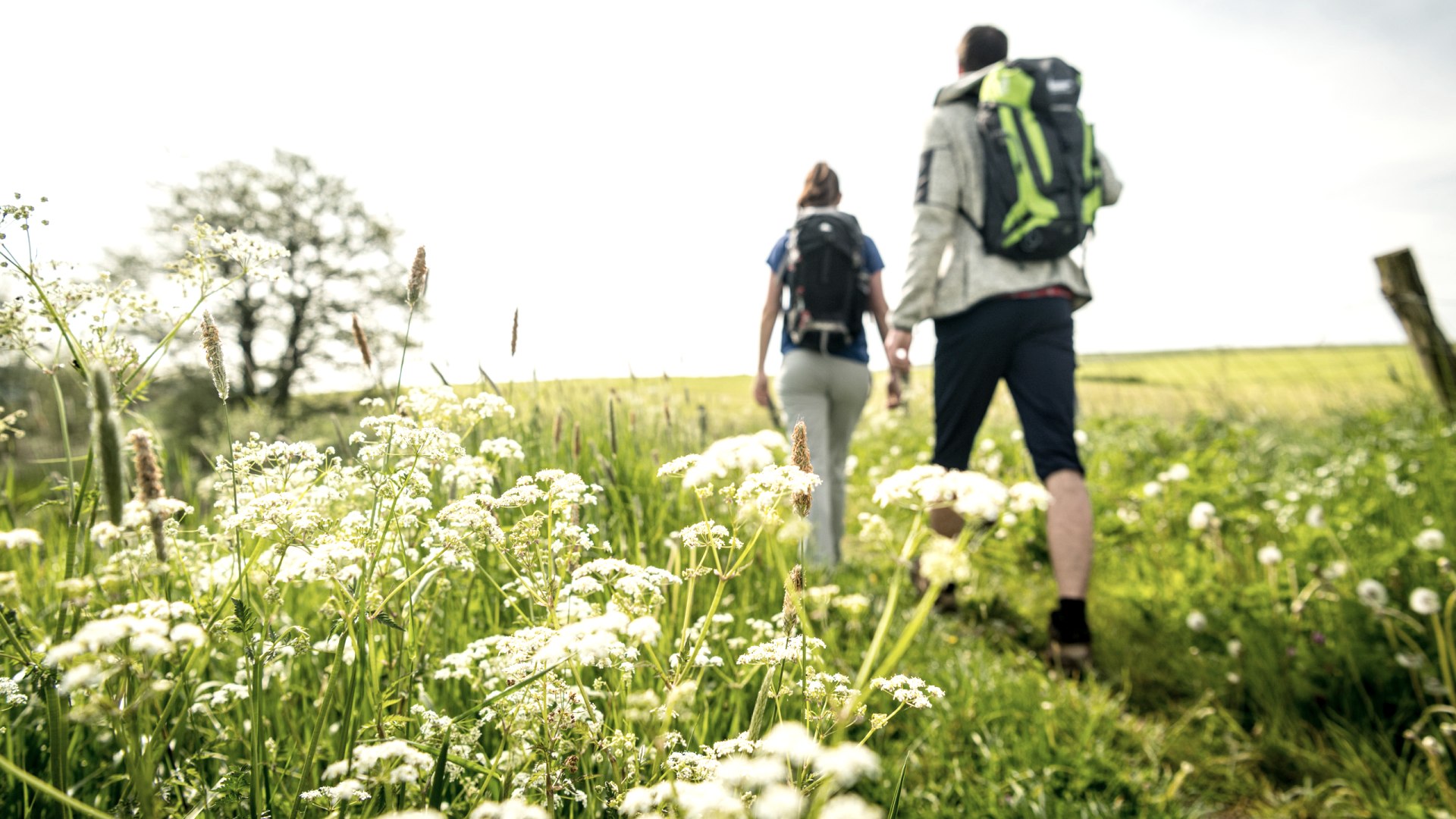 Blooming green meadows and vast landscapes. Two hikers in the middle of it all.