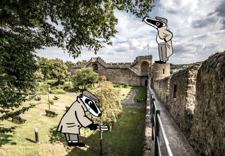 De toegankelijke stadsmuur van Hillesheim omringt het parkgebied voor de muur. Twee versies van een das in detective-uniform onderzoeken het gebied voor de muur en de torens zelf.
