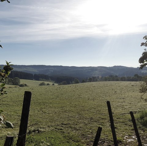 Ochtendzon boven een groene weide met bomen en struiken op de voorgrond. De lucht is helder en blauw., © Touristik GmbH Gerolsteiner Land