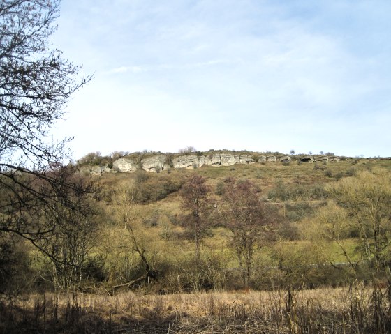 A hill with rocks and sparse vegetation under a clear blue sky. Trees and grass can be seen in the foreground., © Touristik GmbH Gerolsteiner Land, Ute Klinkhammer