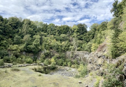 Green quarry with lush vegetation and rock faces under blue skies. The ground is covered with grass and stones., &copy; Touristik GmbH Gerolsteiner Land