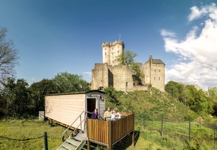 ET-2023-205-Adler & Wolfspark Kasselburg, Pelm-&copy;Ei