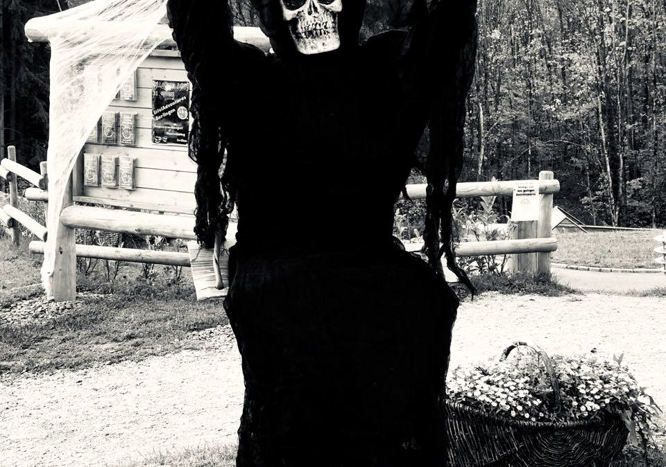 Halloween, © Saxler
