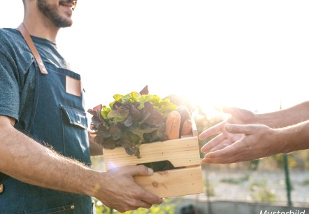 Musterbild, © Canva, Touristik GmbH Gerolsteiner Land