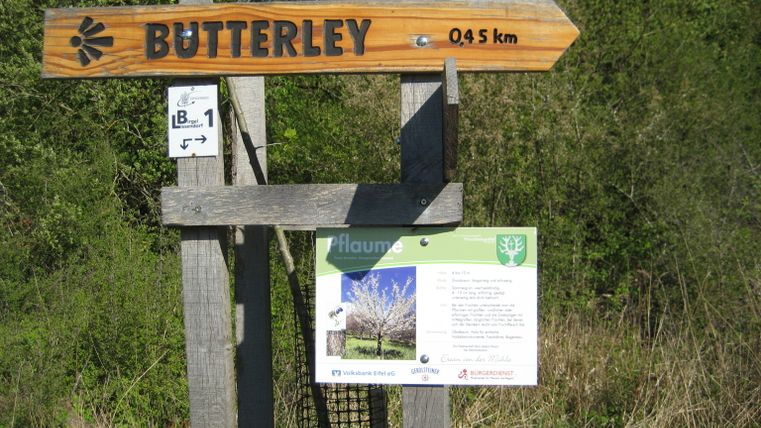 Wegweiser nach Butterley mit Infotafel über Pflaumenbaum.