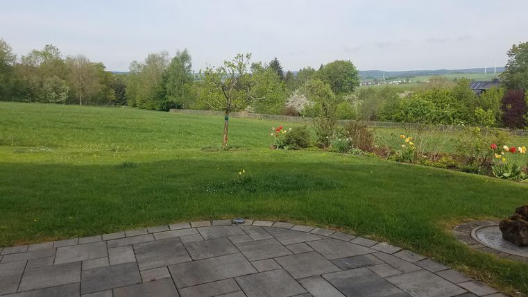 Eine weite, grüne Wiese mit einzelnen Bäumen und einem blauen Himmel. Im Vordergrund sieht man eine Steinterrasse.