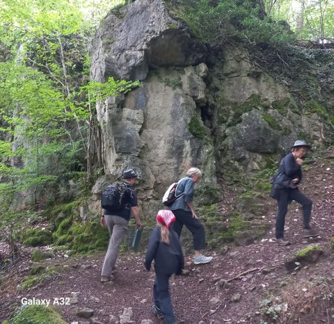 Eine Gruppe von Wanderern auf einem schmalen Pfad im Wald. Felsen und grüne Pflanzen umgeben den Weg.