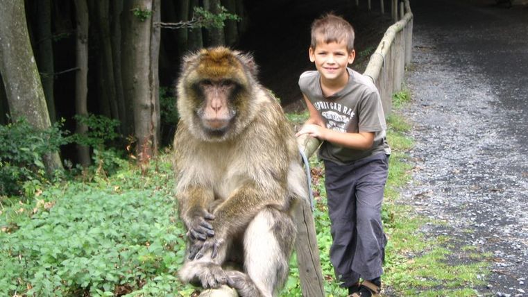 Ein Junge steht neben einem Affen, der auf einem Holzpfahl sitzt. Die Umgebung ist grün mit Bäumen und einem schmalen Weg.