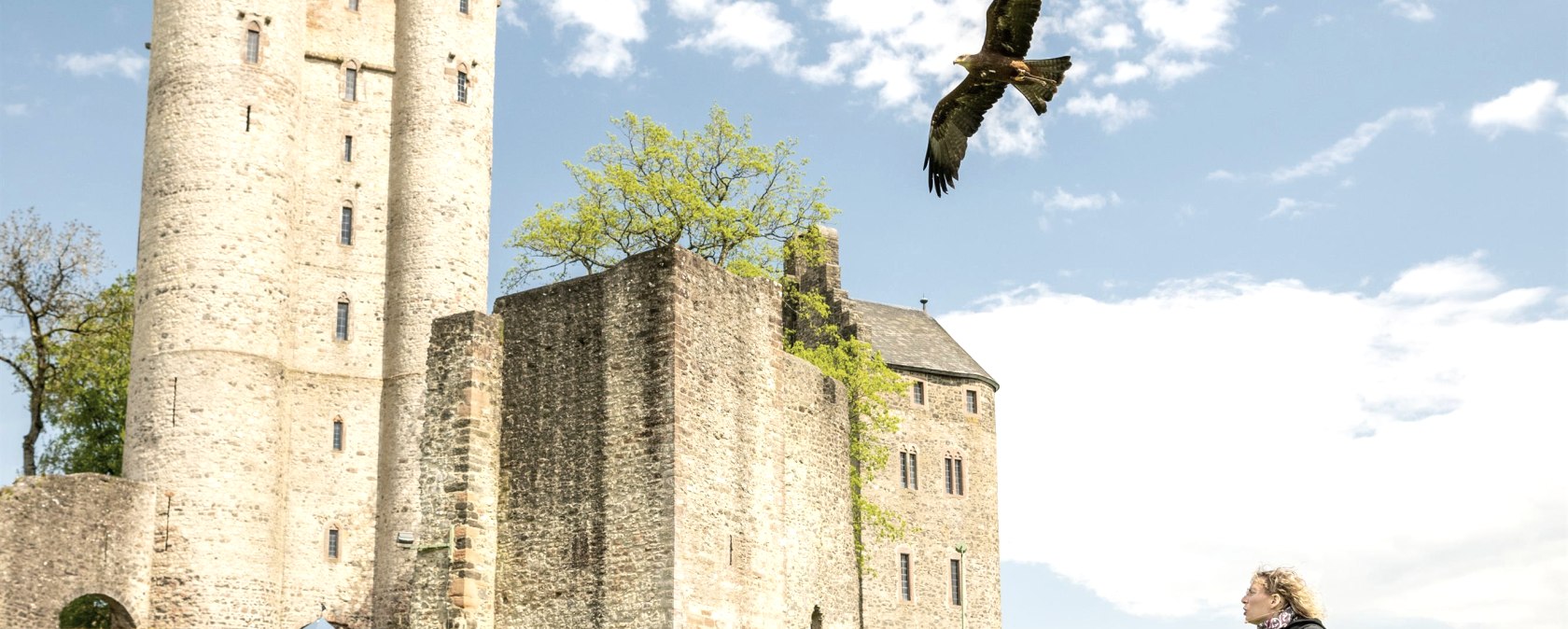 Adler & Wolfspark Kasselburg, Pelm, © Eifel Tourismus GmbH, Dominik Ketz