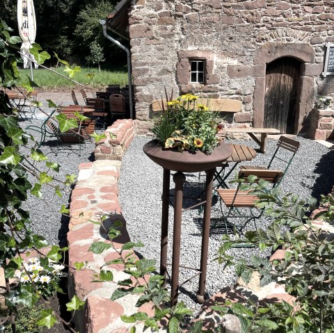 Sommer Blumen, © Susanna Schoos