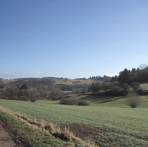 Groene velden en glooiende heuvels strekken zich uit onder een helderblauwe hemel. Een landweggetje loopt door het landschap., © Touristik GmbH Gerolsteiner Land, Ute Klinkhammer