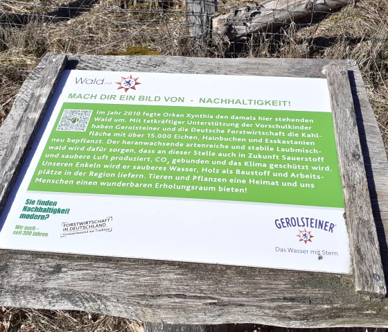 Een bord in het bos geeft informatie over een duurzaamheidsproject van Gerolsteiner dat leidde tot de herbebossing van meer dan 15.000 bomen na orkaan Xynthia in 2010., © Touristik GmbH Gerolsteiner Land, Ute Klinkhammer
