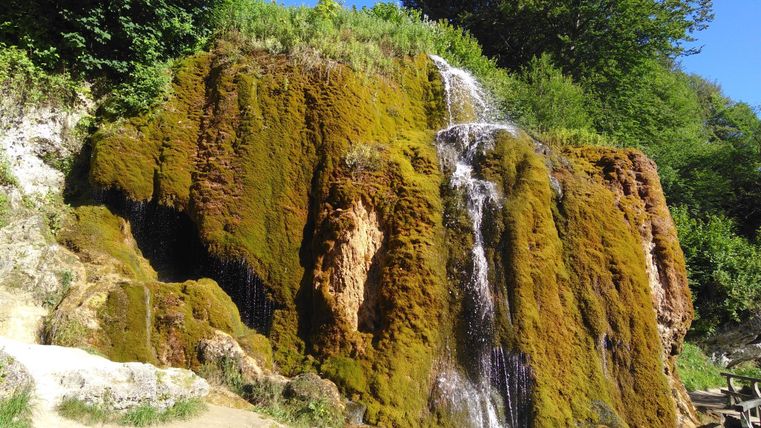 Ein malerischer Wasserfall, der über eine moosbedeckte Felswand fließt. Umgeben von üppigem Grün und klarem blauen Himmel.