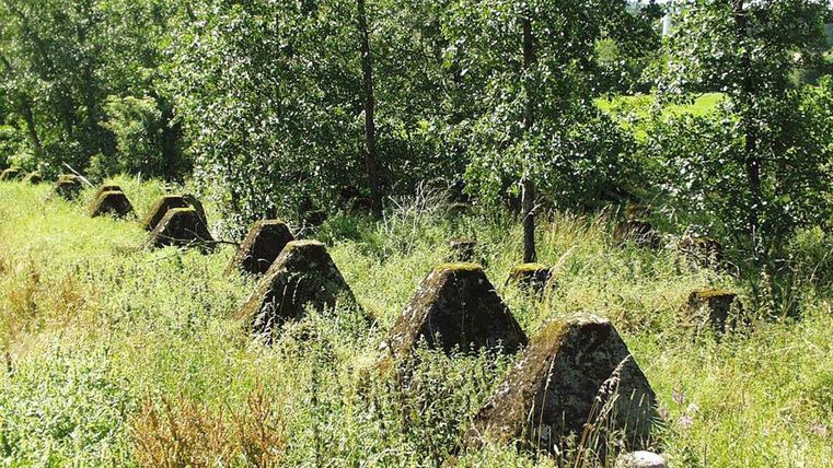 Blocs de béton de la ligne Siegfried dans un paysage verdoyant, avec des arbres en arrière-plan.
